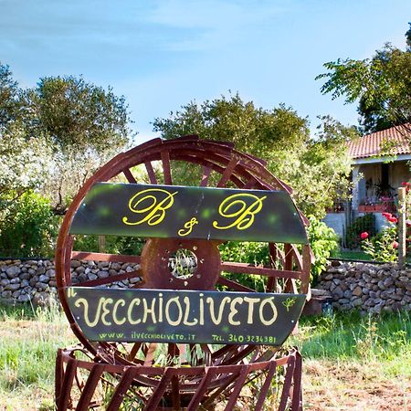 Il Vecchioliveto Di Ornella Bed & Breakfast Marrùbiu Exterior foto