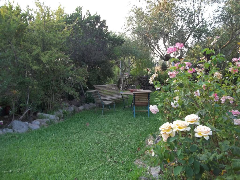 Il Vecchioliveto Di Ornella Bed & Breakfast Marrùbiu Cameră foto