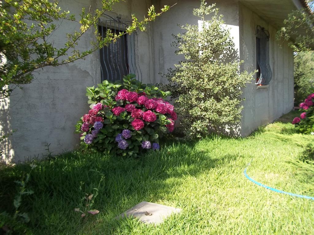 Il Vecchioliveto Di Ornella Bed & Breakfast Marrùbiu Cameră foto