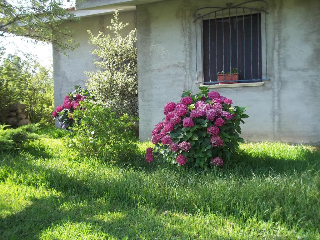 Il Vecchioliveto Di Ornella Bed & Breakfast Marrùbiu Exterior foto