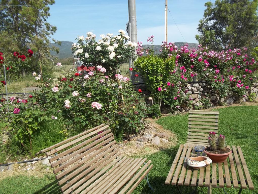 Il Vecchioliveto Di Ornella Bed & Breakfast Marrùbiu Cameră foto