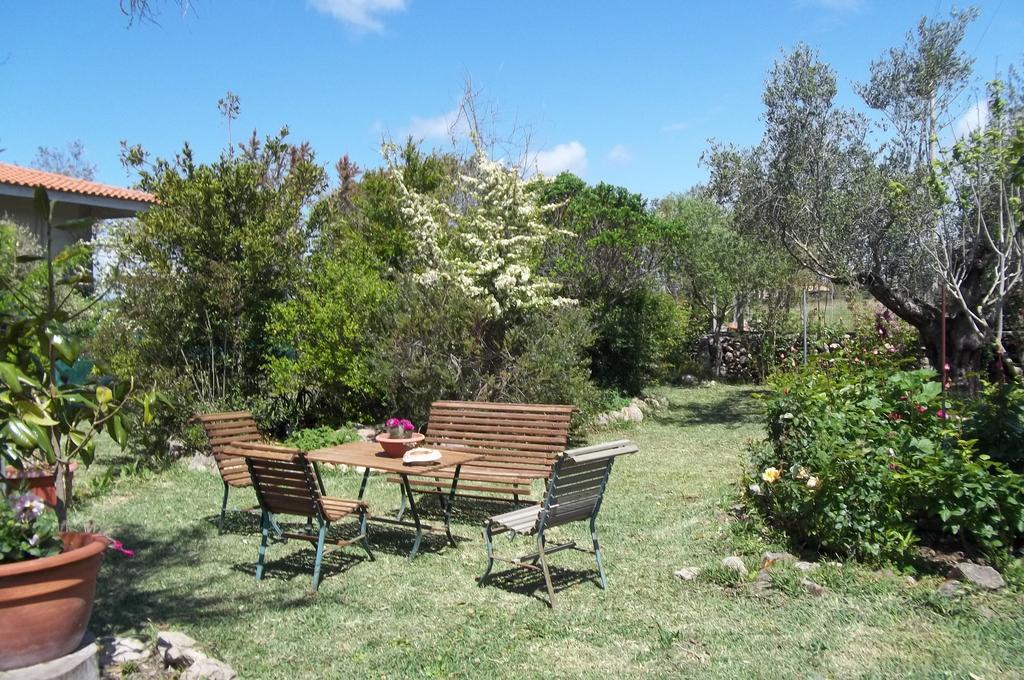 Il Vecchioliveto Di Ornella Bed & Breakfast Marrùbiu Exterior foto
