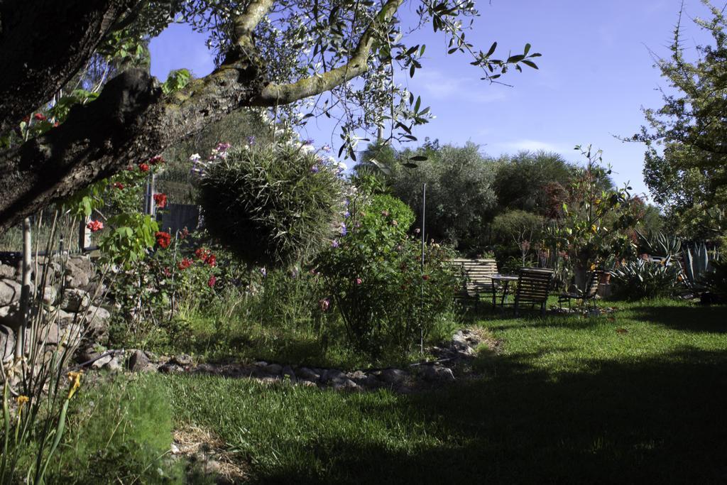Il Vecchioliveto Di Ornella Bed & Breakfast Marrùbiu Exterior foto