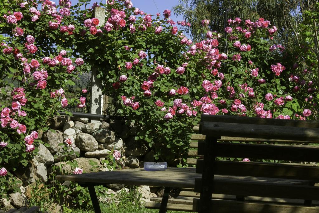Il Vecchioliveto Di Ornella Bed & Breakfast Marrùbiu Exterior foto