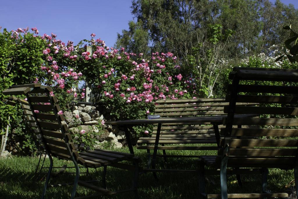 Il Vecchioliveto Di Ornella Bed & Breakfast Marrùbiu Exterior foto