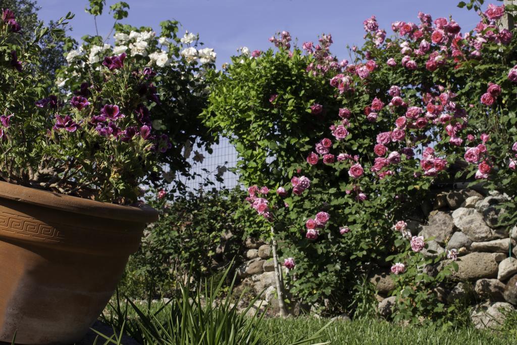 Il Vecchioliveto Di Ornella Bed & Breakfast Marrùbiu Exterior foto