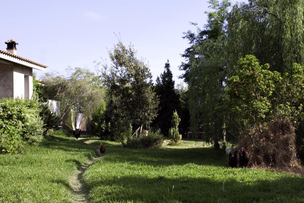 Il Vecchioliveto Di Ornella Bed & Breakfast Marrùbiu Exterior foto