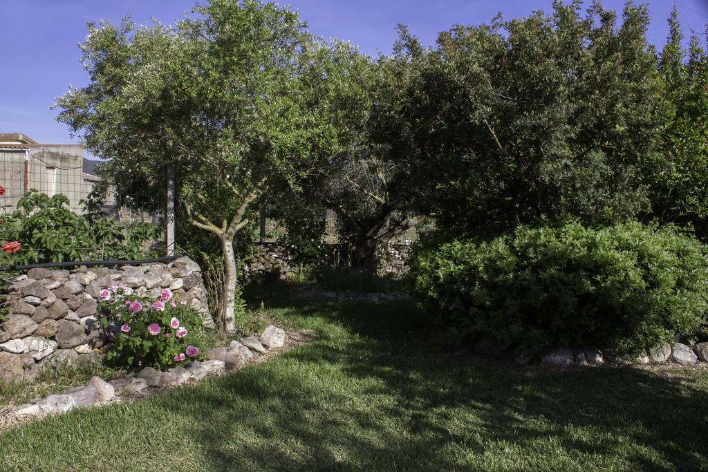 Il Vecchioliveto Di Ornella Bed & Breakfast Marrùbiu Exterior foto