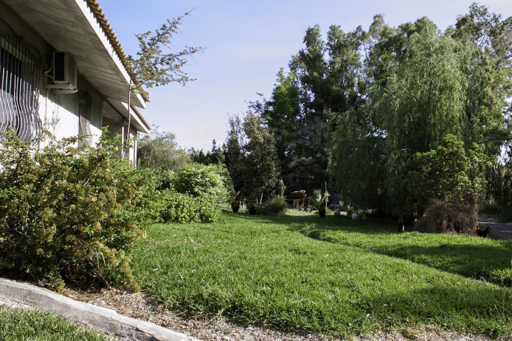 Il Vecchioliveto Di Ornella Bed & Breakfast Marrùbiu Exterior foto