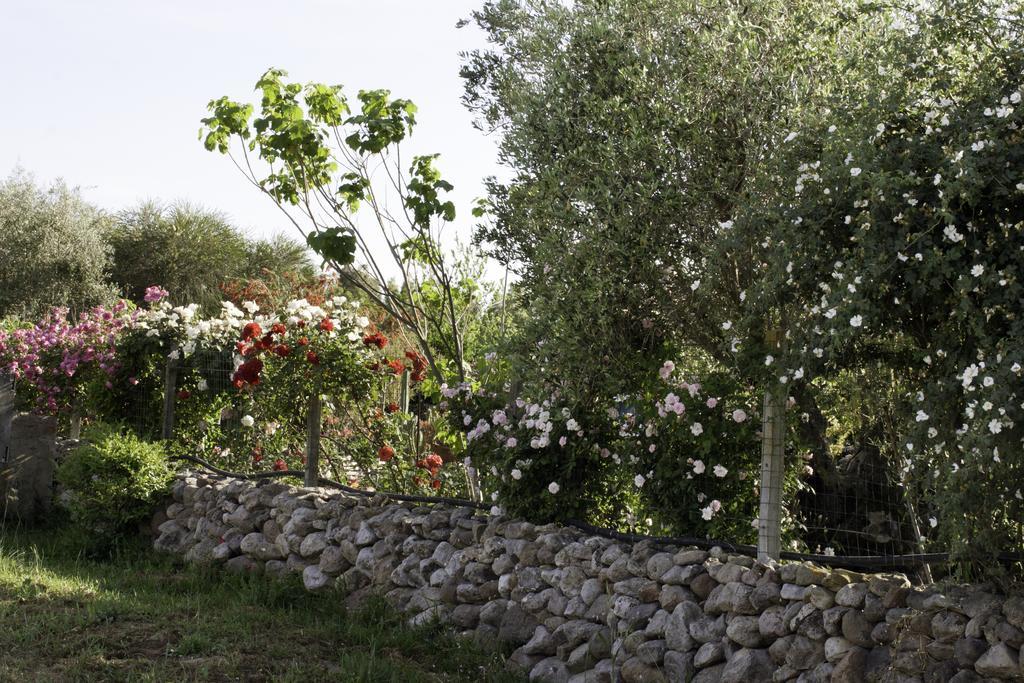 Il Vecchioliveto Di Ornella Bed & Breakfast Marrùbiu Exterior foto