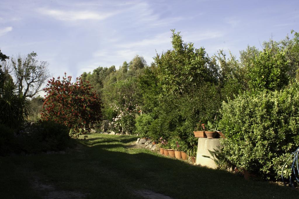 Il Vecchioliveto Di Ornella Bed & Breakfast Marrùbiu Exterior foto