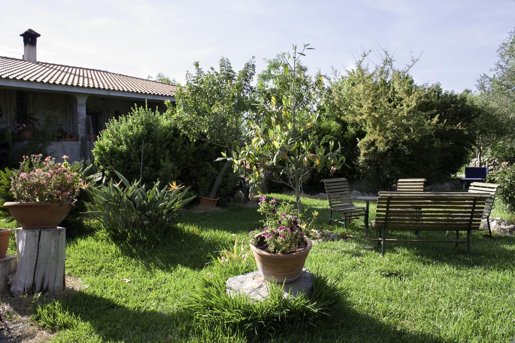 Il Vecchioliveto Di Ornella Bed & Breakfast Marrùbiu Exterior foto